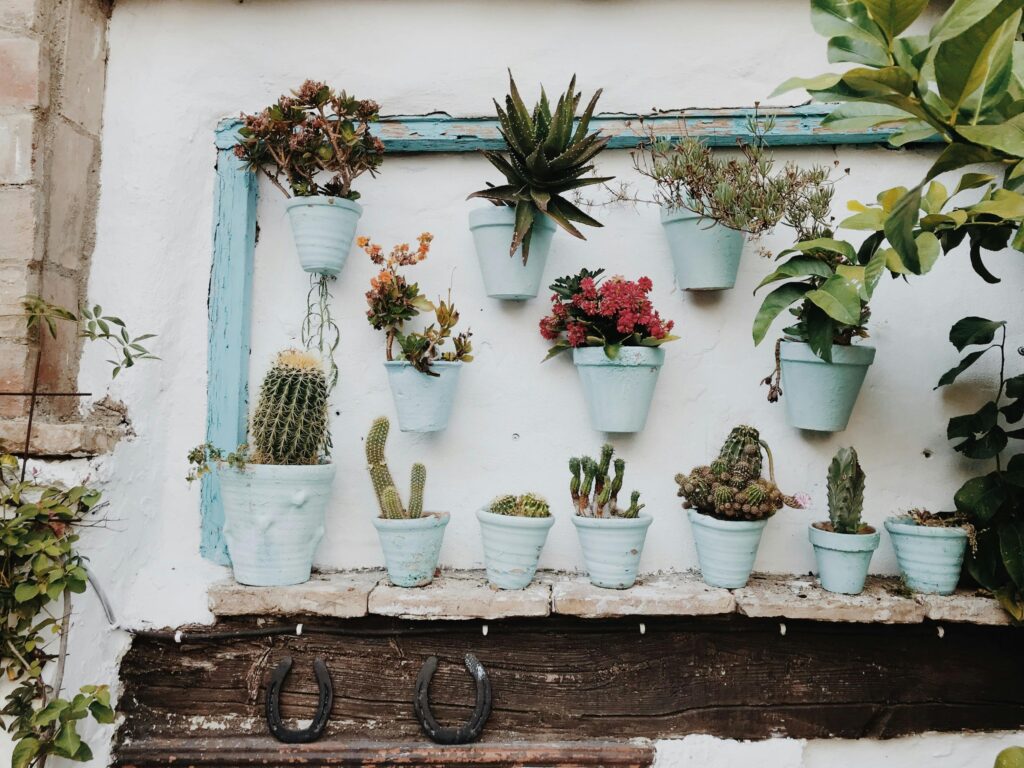 A rustic display of various succulents and cacti in pots on a wall in Córdoba, Spain.