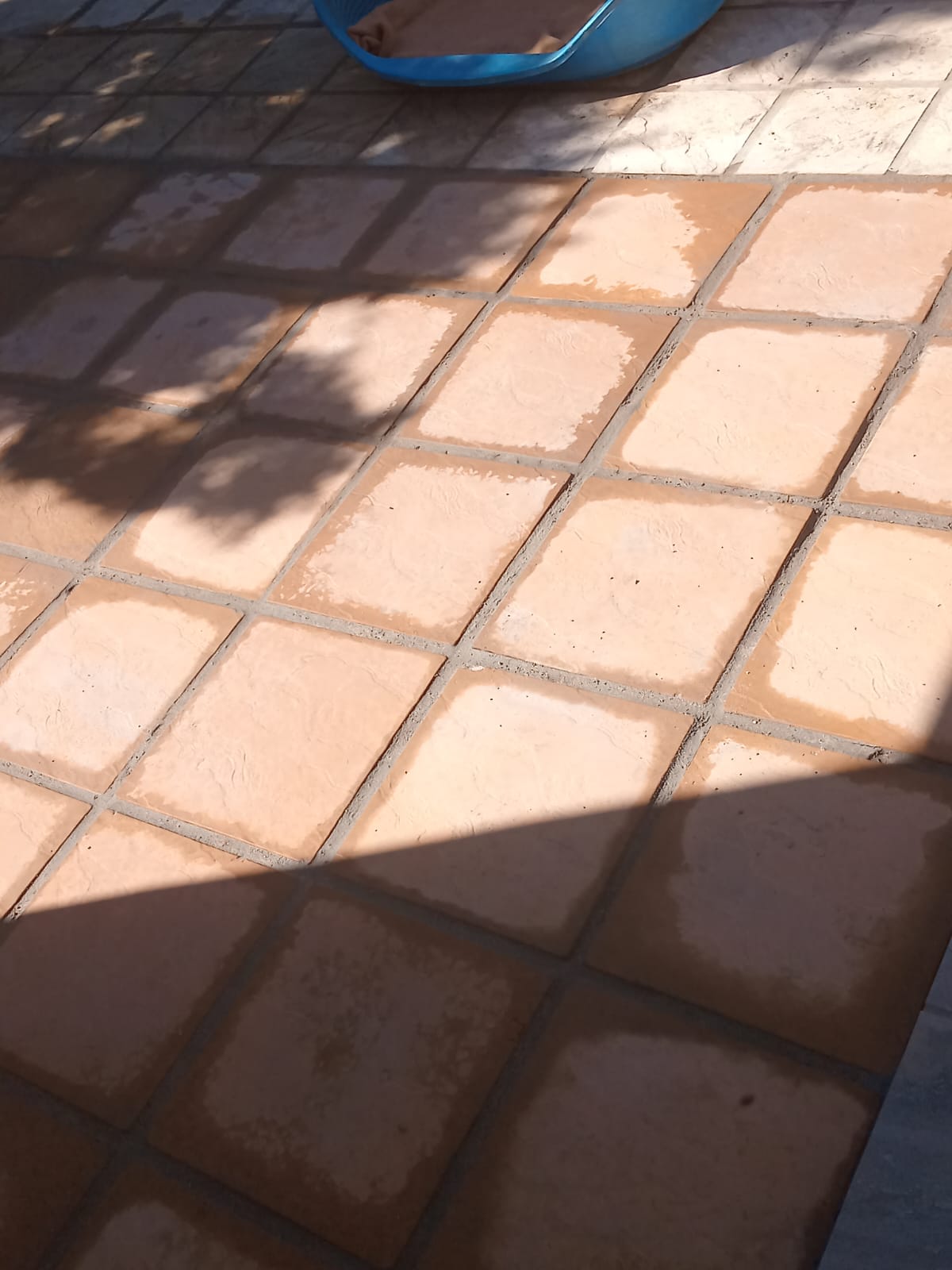 whatsapp-image-2025-05-09-at-143138-55fe2113